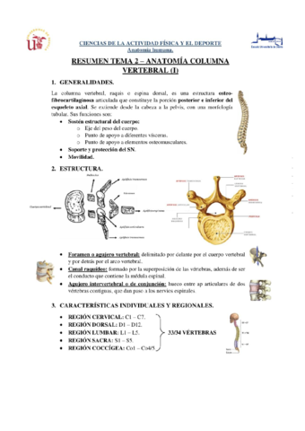 Tema-2-Anatomia.pdf