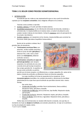 Tema 2.pdf