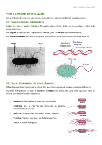 MICRO-I-TEMA-5-8.pdf