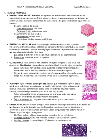 TEMA-7-HISTOLOGIA-ANIMAL-Y-VEGETAL-1.pdf