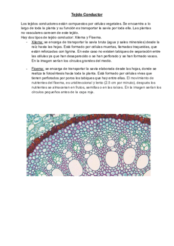 Trabajo-tejido-conductor-Angela-Martin-BCT12.pdf