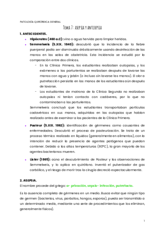 TEMA-7-PQG.pdf