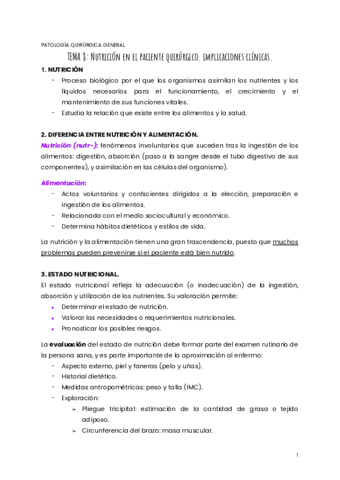 TEMA-8-PQG.pdf