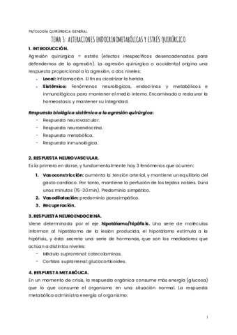 TEMA-3-PQG.pdf