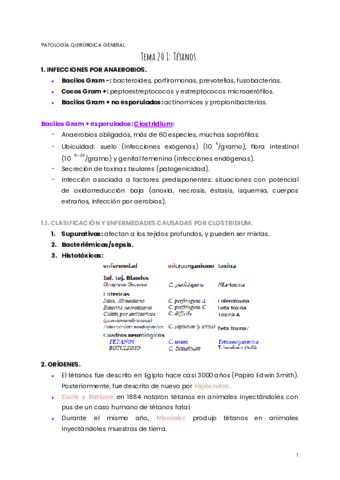 TEMA-20-PQG.pdf