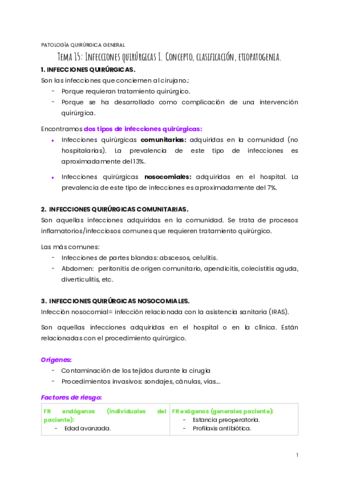 TEMA-15-y-16-PQG-.pdf