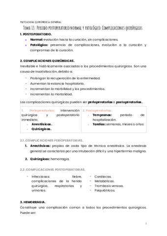 TEMA-13-PQG.pdf