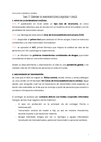 TEMA-23-PQG.pdf