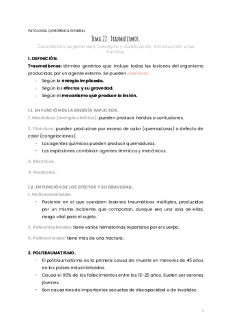 TEMA-22-PQG.pdf