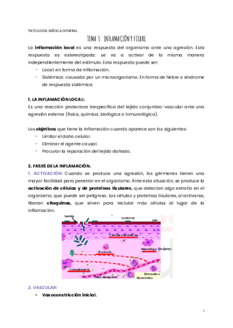 TEMA-3-PMG.pdf