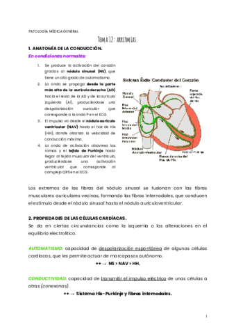 TEMA-12-PMG.pdf