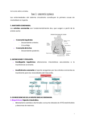 TEMA-11-PMG.pdf