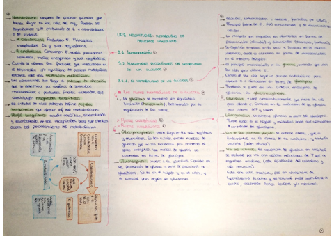 Tema-3-bioquimica.pdf