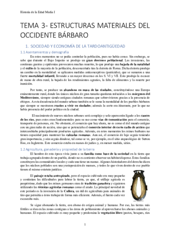 TEMA-3-Estructuras-materiales-del-occidente-barbaro.pdf