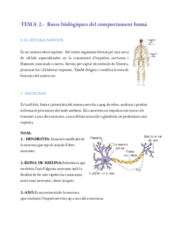 TEMA-2-PSICOLOGIA.pdf