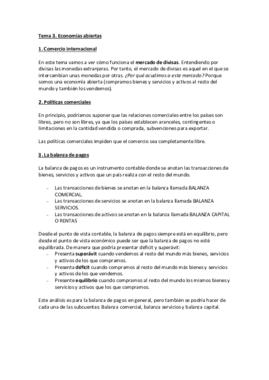Tema 3.pdf