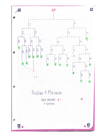 Cuaderno-Zoologia.pdf