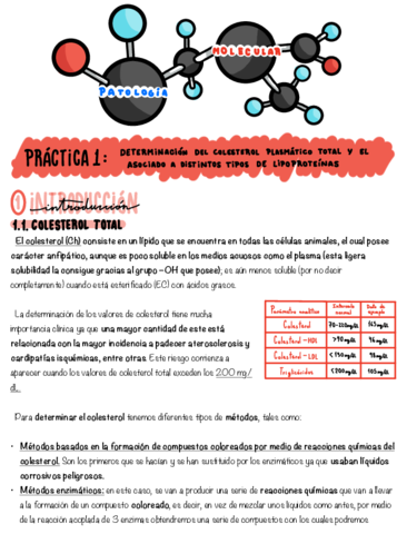Practicas-DIA-1.pdf