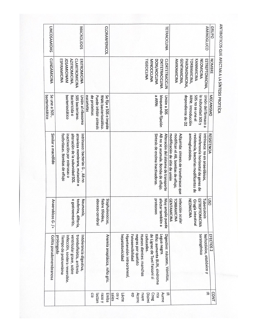 Antibioticos-.pdf