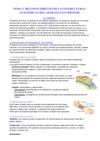 TEMA-3-RECONOCIMIENTO-DE-LAS-ESTRUCTURAS-ANATOMICAS-DEL-APARATO-LOCOMOTOR.pdf