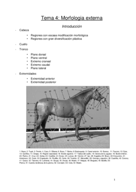 tema 4 bienestar.pdf