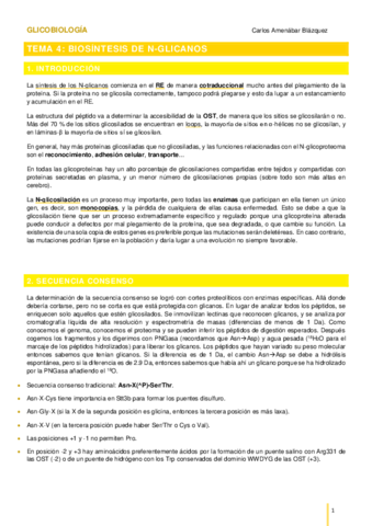 TEMA-4N-glicanos.pdf