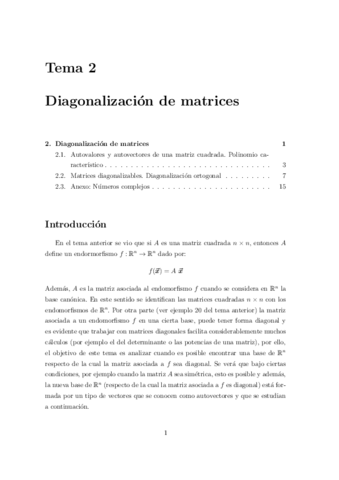 Tema 2. Apuntes.pdf