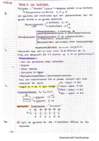 CamScanner-11-12-2022-13.pdf