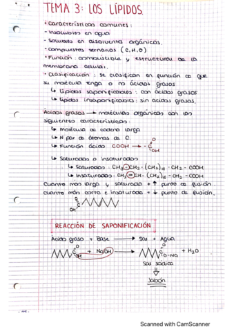 CamScanner-11-12-2022-13.pdf
