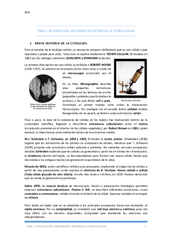 CIT-TEMA-1-Introduccion.pdf