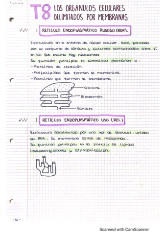 CamScanner-11-16-2022-12.pdf