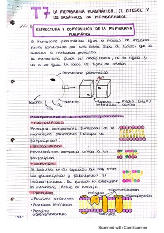 CamScanner-11-16-2022-12.pdf
