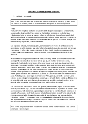 Tema-6-Las-instituciones-tutelares.pdf