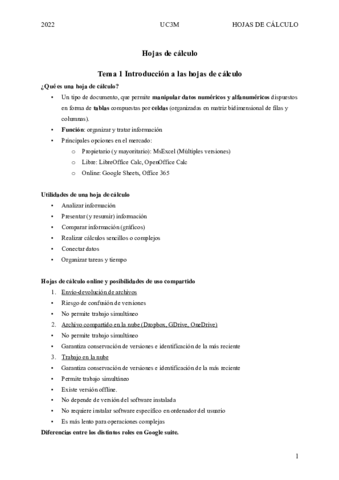 Hojas-de-calculo.pdf