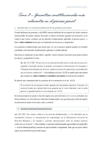 T3-garantias-constitucionales-mas-relevantes-en-el-proceso-penal.pdf