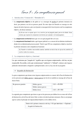 T5-competencia-penal.pdf