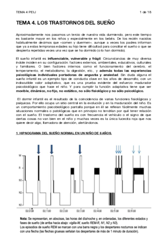 TEMA-4-PEIJ.pdf