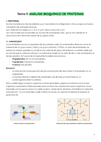 TEMA-3.pdf
