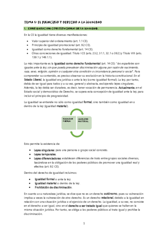 TEMA-5.pdf