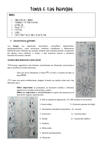 Tema-6-botanica.pdf