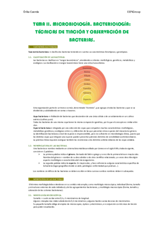 TEMA-2.pdf