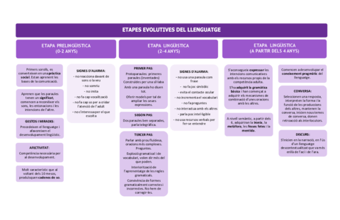 tema-2-mapa-conceptual.pdf