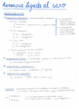 herencialigadaalsexo.pdf