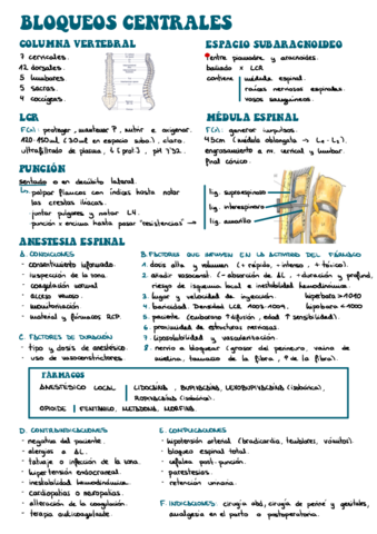 BLOQUEOS-CENTRALES-resum.pdf