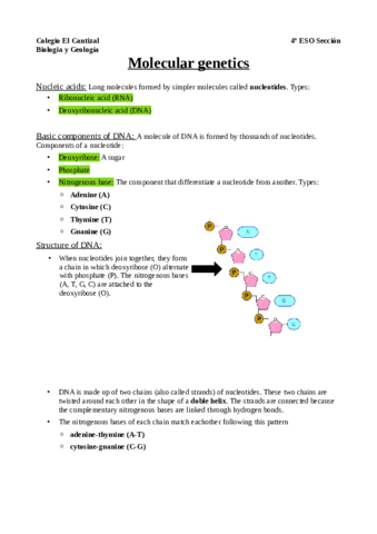 Basic molecular genetics Unit 2