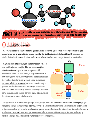 Practicas-DIA-2-y-3.pdf