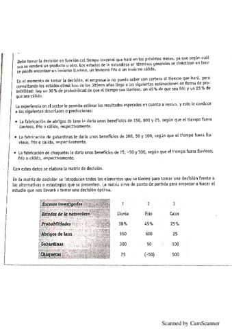 PROBLEMA-MATRIZ-DE-DECISION.pdf