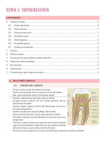 Tema-0 pprm.pdf