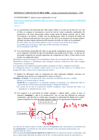 T5-CuestionarioBueno.pdf