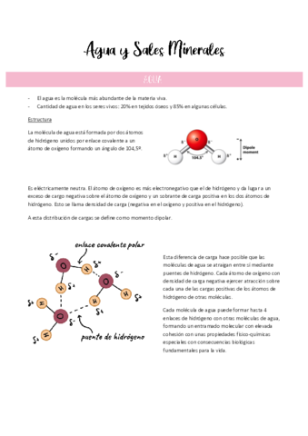 Tema 2-Agua y Sales Minerales.pdf